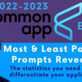 common app essay length 2021