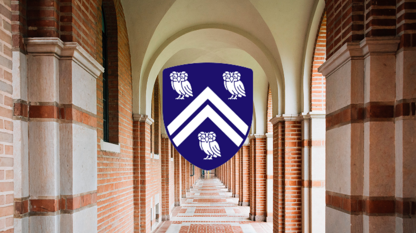 rice university admissions essay