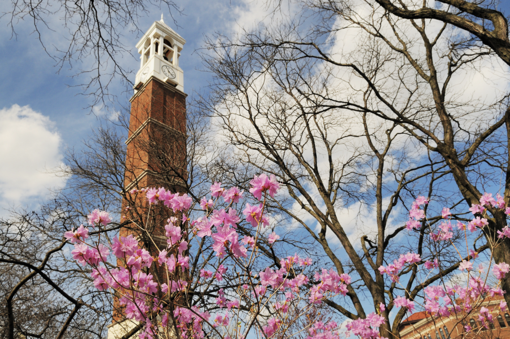 Gary Canter’s February College Guy Rant – Admissions Blog
